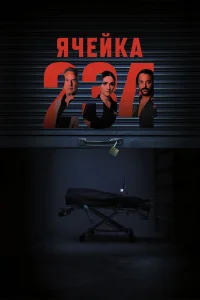  Ячейка 234 